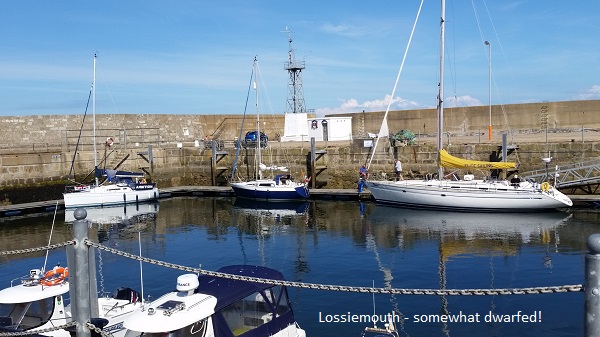 Somewhat dwarfed in Lossiemouth harbour
